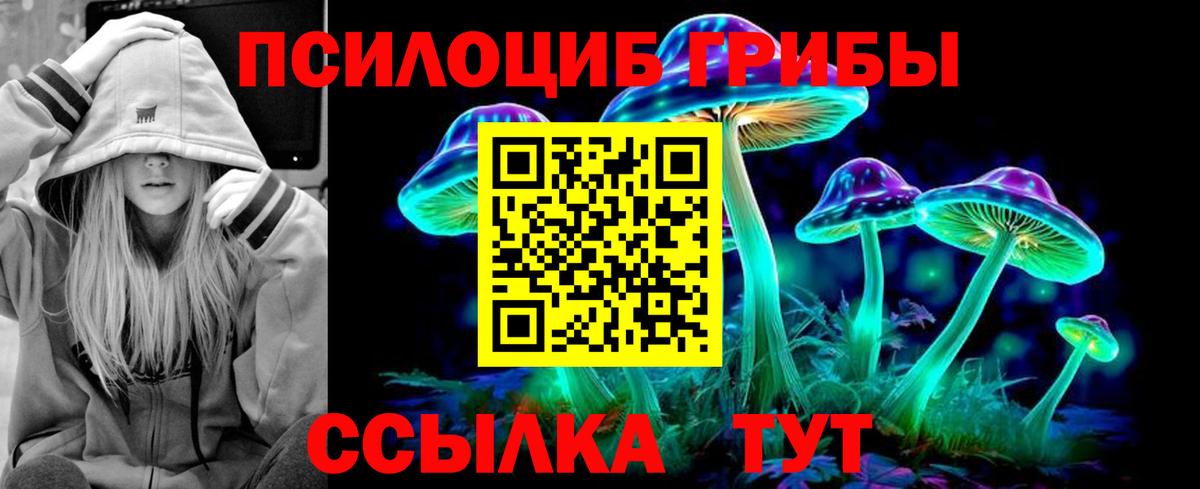 Галлюциногенные грибы мицелий Качканар